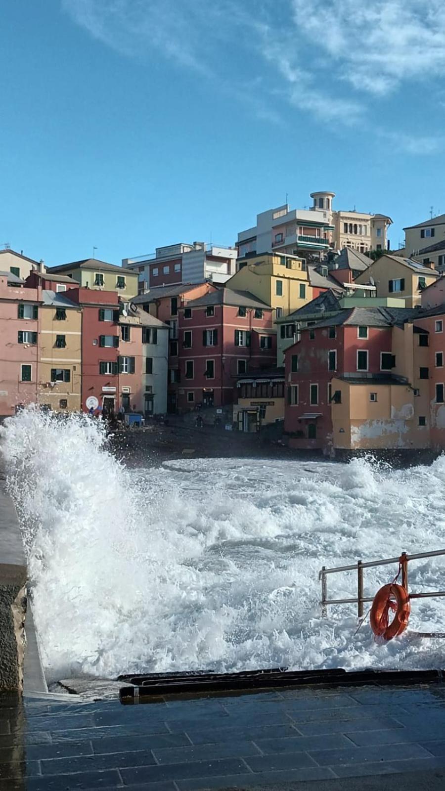 Le Grazie Sopra I Tetti Lejlighed Genova Eksteriør billede